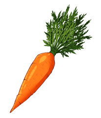 Bright orange carrot art style