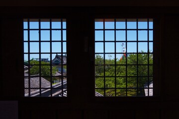 和歌山城内から見た鯉のぼり