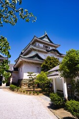和歌山城と青い空