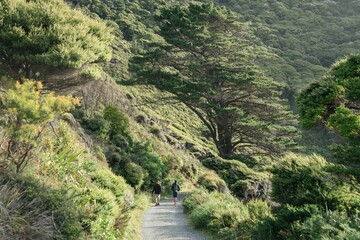 Two men walking on a country road in Anawhata, Auckland, New Zealand.