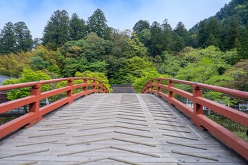 カラフルな太鼓橋越しに見る新緑に包まれたお寺の情景