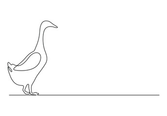 Continuous one line drawing of duck. Isolated on white background vector illustration 