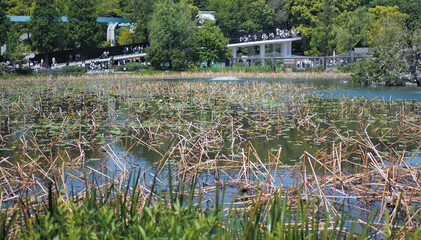 上野恩賜公園の風景