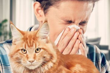young person sneezing from cat allergy at home.