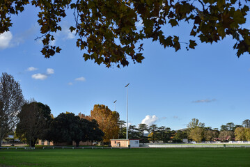 Obraz premium view of a sports fields from beneath a shady tree