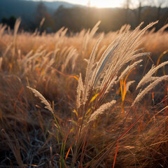 wild grass