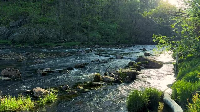 4K slow-motion video of a beautiful Norwegian river in spring. Vivid green leaves close to a flowing water. Perfect for a loopable background, offering a peaceful and calming atmosphere.