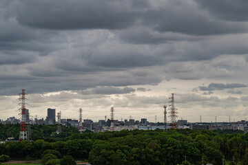 Fototapeta premium 曇り空の新緑と鉄塔