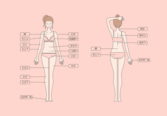 女性の脱毛のイラスト 全身