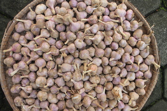 A bunch of garlic in tampah


