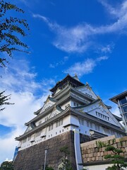 Naklejka premium Japan beauty
