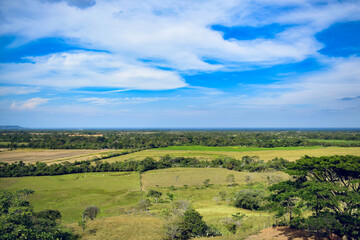 Fototapeta premium Llanos de Colombia