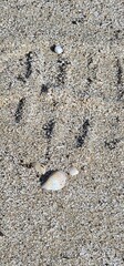 Sand shoeprint 