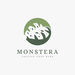 Tropical leaf, monstera logo icon vector on white background