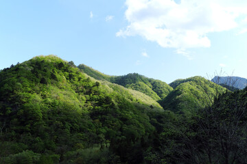青い空と新緑の山々