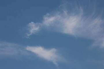 Fototapeta premium Blue sky background with clouds