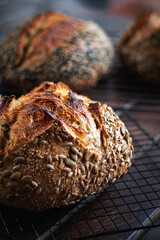 Sourdough bakery scene