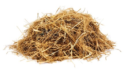 A pile of brown hay isolated on a white background