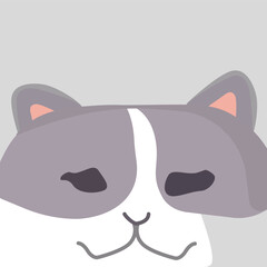 Confuse Cat with Dusty Rose and Pure White Patches. Cat with Dusty Rose and Pure White Patches Confuse
