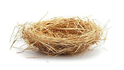 A bird nest made of natural straw, isolated on a white background