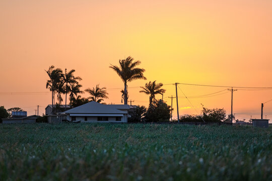 sugar cane field with a queenslander house in the background near bundaberg, queensland