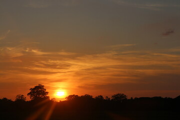 Fototapeta premium Sky background on sunset. Nature abstract composition