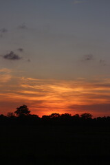 Sunset sky for background or sunrise sky and cloud at morning.