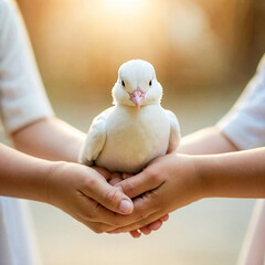 whit sunday, whit monday. a white dove held gently by multiple children's hands, symbolizing peace and hope, soft lighting, religious ceremony background