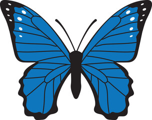 Blue butterfly Borboleta azul icon.