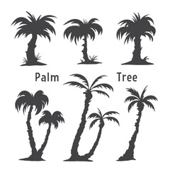 palm leaf silhouette, coconut trees