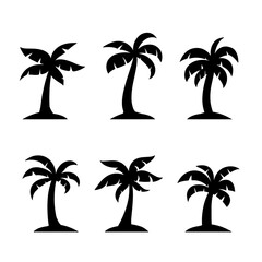 Coconut  tree vector, Tropical trees