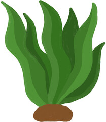 seaweed cartoon. underwater clipart © Anyaphat