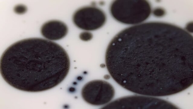 Paint blots. Ink oil. Defocused black white color dark blobs transform fluid fusion shimmer spots floating wet texture motion abstract art background.