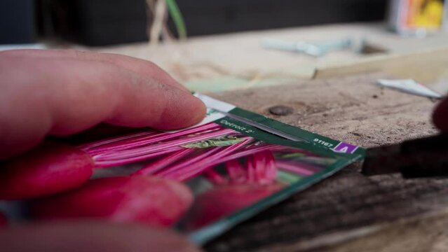Cut Opening Pack Of Beetroot Seeds For Planting. closeup shot