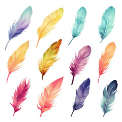 A bunch of colorful feathers.
