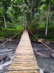 the views of bamboo bridge on the river