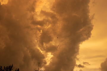 The sky is ablaze with drama, adorned by towering clouds illuminated in a warm, orange glow as the sun sets. Against this fiery backdrop, a solitary bird soars amidst the turbulent atmosphere.