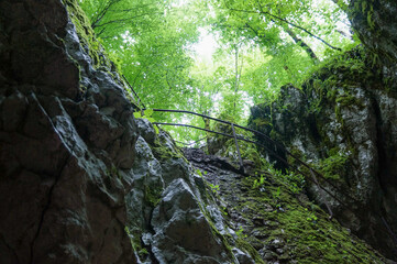 ゴツゴツした岩に囲まれた自然が美しい風景