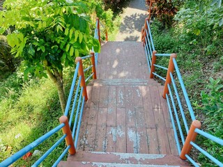 a photography of a wooden stairway leading to a tree and a path.