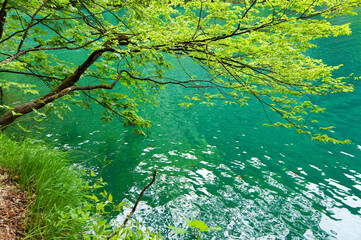 美しいクロアチアのプリトヴィツェ湖群国立公園の風景