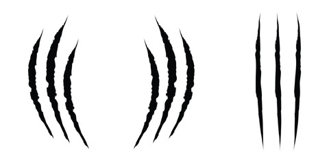 claw scratches, vector illustration on transparent background. animal claws scratching of cat, tiger, lion, bear.