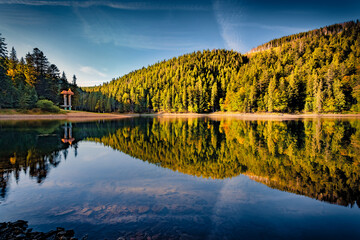 Calm morning view of Synevyr lake. Picturesque summer scene of fir tree forest on the shore of dyyp...