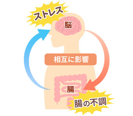ストレスでお腹が痛くなる仕組み、脳と腸の関係。脳腸相関のイラスト。