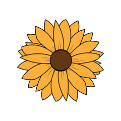 Fototapeta premium Vector illustration of a sunflower