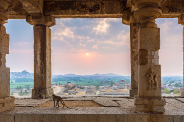 monkey at temple, hampi India