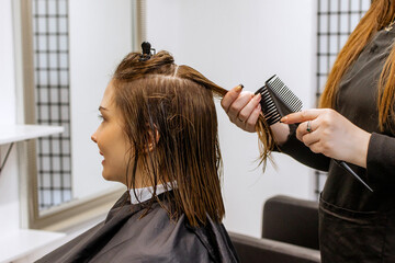 Fototapeta premium Woman professional hairdresser doing hair styling to client in beauty salon, applies balm to strengthen hair, stylist doing hair care procedures