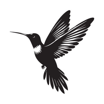 recommend clip art: Humming bird silhouette flying bird black and white logo vector clip art