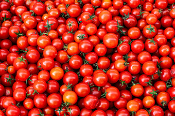 tomatoes in market The cherry tomato is a type of small round tomato believed to be an intermediate genetic admixture between wild currant-type tomatoes and domesticated garden tomatoes