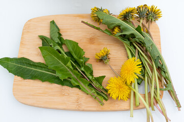 Dandelion leaves and flowers prepared on a wooden bottom, for salad
