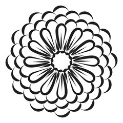 Hand drawn floral drawing illustration. Floral Line art for print or use as tattoo, card, poster, flyer or T Shirt